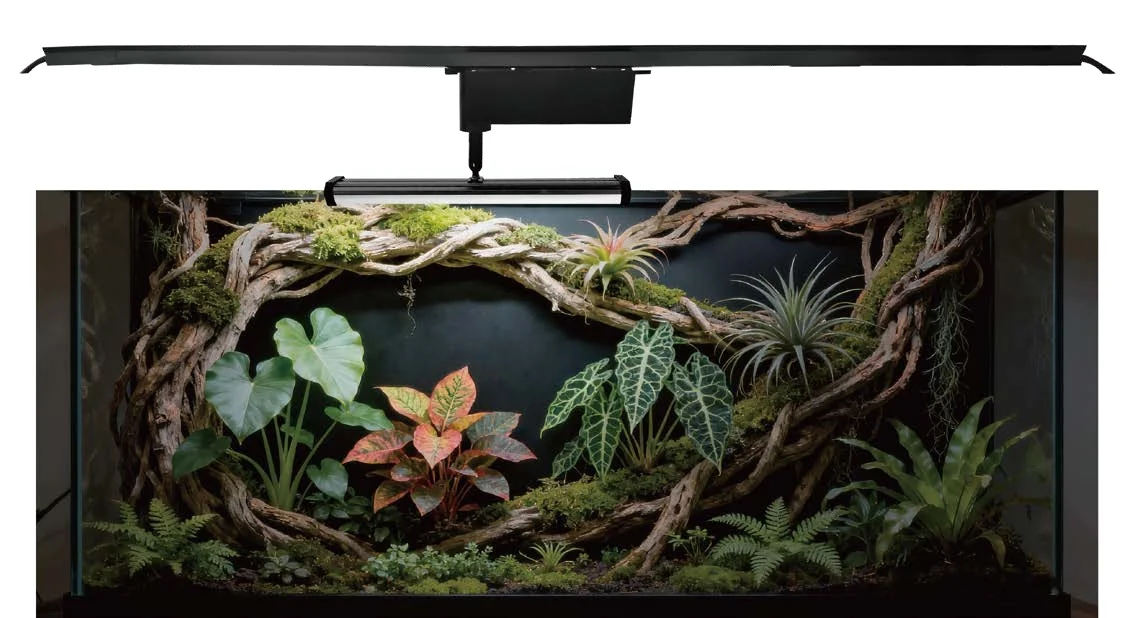 Lumini Bar20