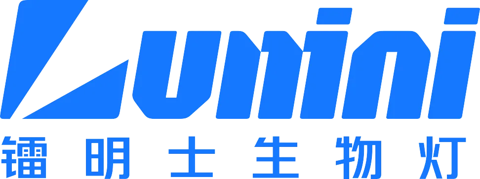 Lumini