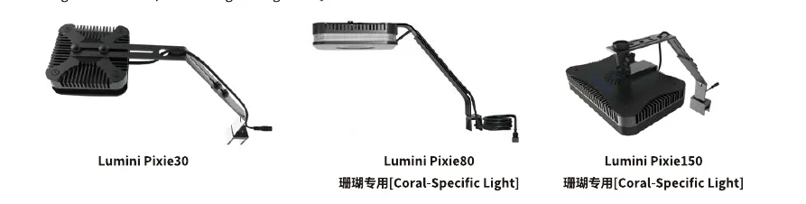 Lumini Pixie